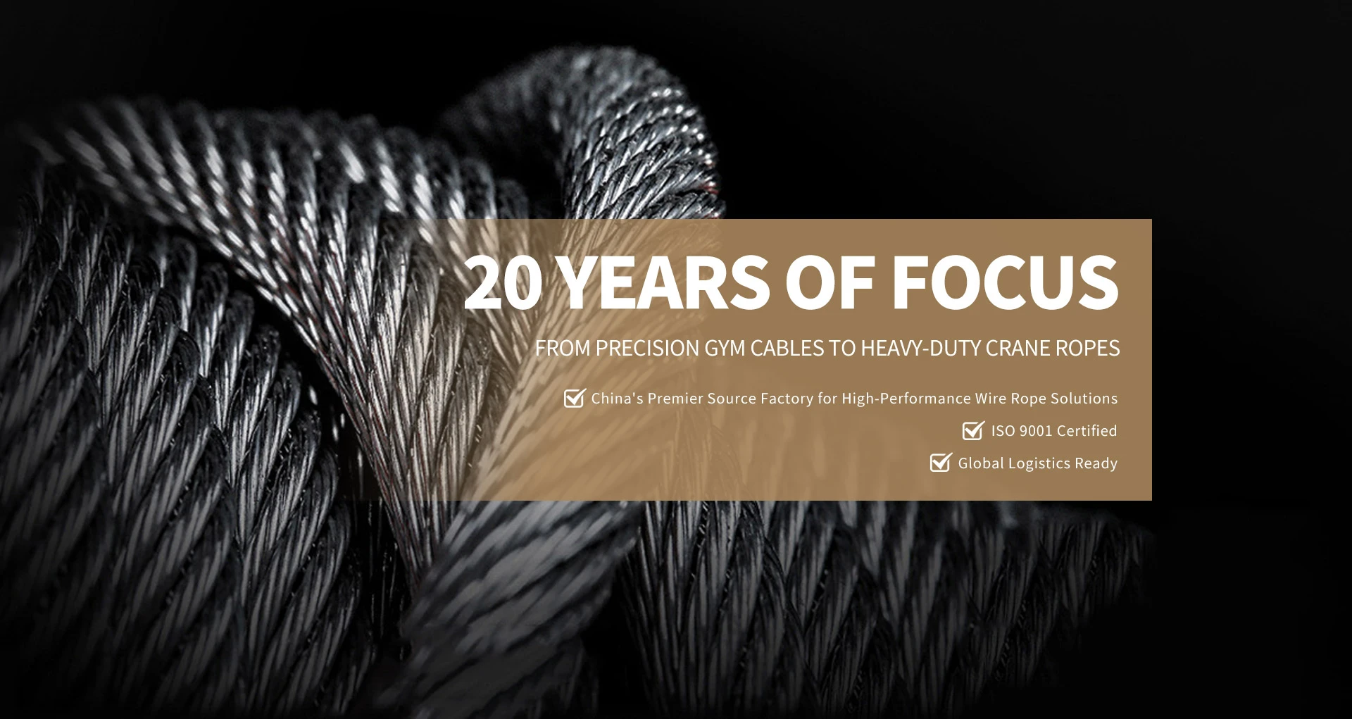 ISO-Certified Crane Wire Rope & PA12 Coated Gym Cables